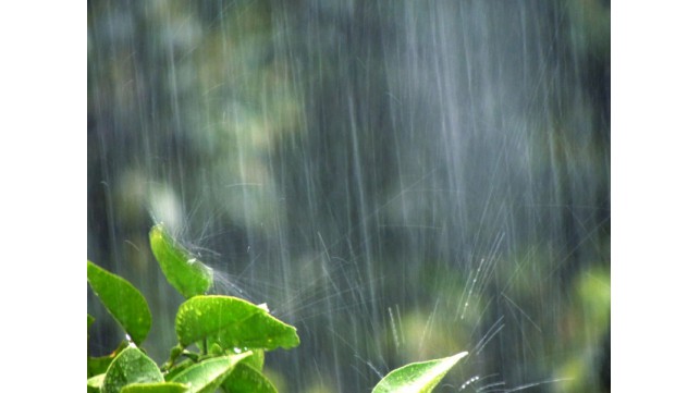 梅雨のジメジメ、何とかしたい！梅雨時の湿気対策