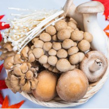 栄養満点!秋のきのこレシピ4+α選!