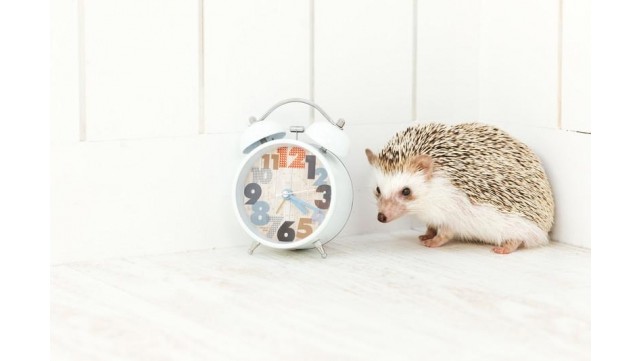 時間がない！！”私”の時間のつくりかた
