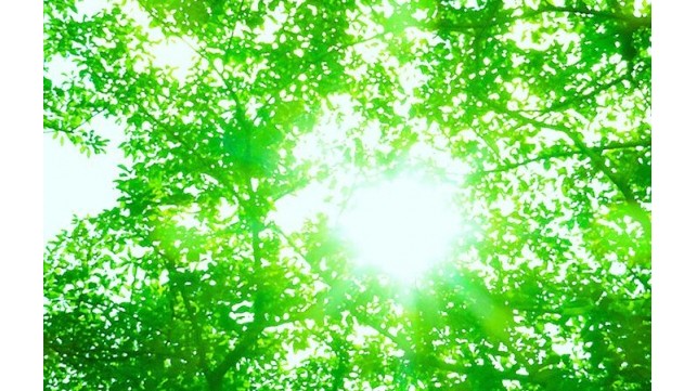 妊娠中のストレス発散法