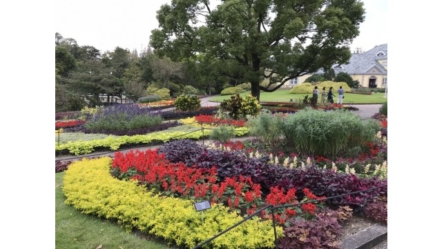 花と緑のテーマパークへ行こう!!　【安城産業文化公園デンパーク】