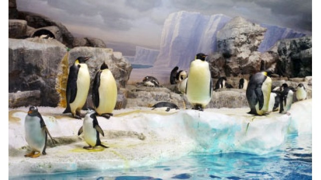 名古屋港水族館の”通”な楽しみ方！おすすめスポット5選