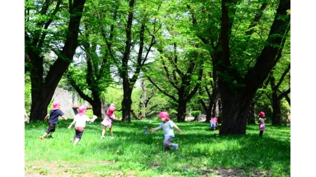 知っておきたい幼稚園と保育園の両方の良い点と悪い点
