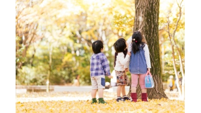 幼稚園とも保育園とも違う!?こども園という新しいかたち
