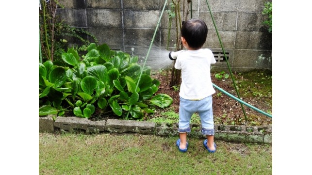 ～野菜編～子どもと植物を育てて、子どもの心を育もう。「食育」育てやすい野菜３選