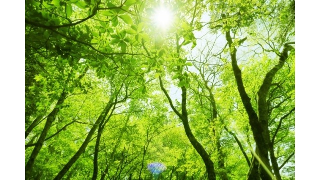 梅雨の時期「室内で」、「やる気出なくても」、「疲れていても」出来る気分転換のコツ！