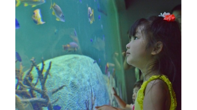 お子さま連れ、家族で行きたい！パワースポットと言われる「竹島」の魅力をご紹介します