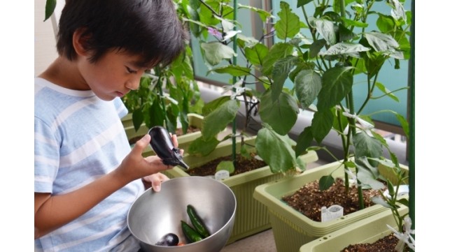 生活に花と緑を！ 植物を育てることが子どもの心を育てる