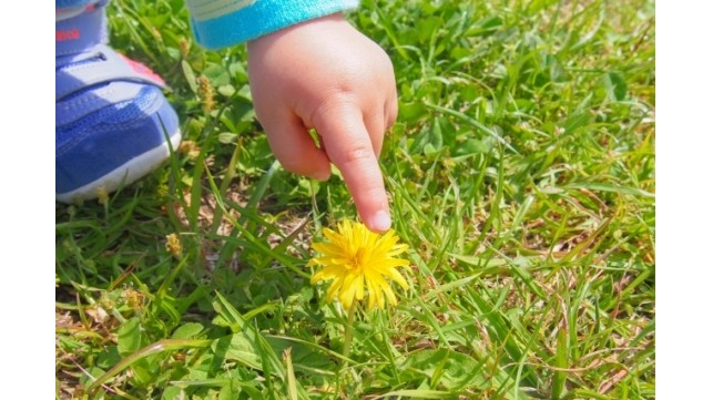 日常が戻ったらどこに行きたい？ 子どもの心の守り方