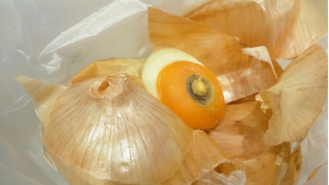 コバエが気になる季節　コバエはどこからわくの？対策をして快適に過ごそう