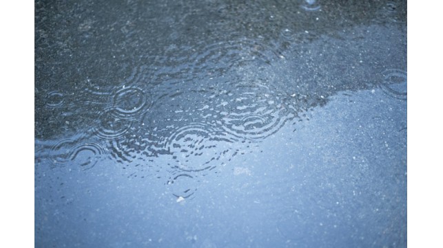 梅雨はなぜ「梅」雨なのか？「梅」の字を使う理由