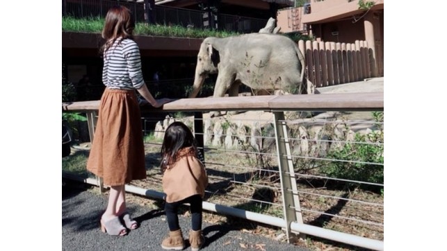 さかなちゃん